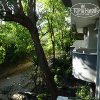 фото из отзыва ID 1815746