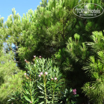 фото из отзыва ID 1815746