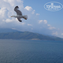 фото из отзыва ID 1815746