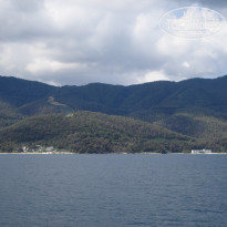 фото из отзыва ID 1815746