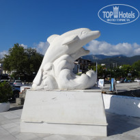 фото из отзыва ID 1815746