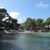 фото из отзыва ID 1815746