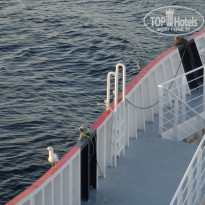 фото из отзыва ID 1815746