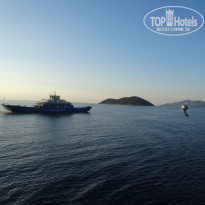 фото из отзыва ID 1815746