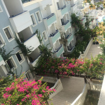 фото из отзыва ID 1815843