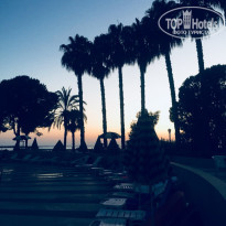 фото из отзыва ID 1816038