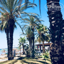 фото из отзыва ID 1816038