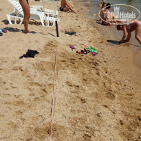 фото из отзыва ID 1816053