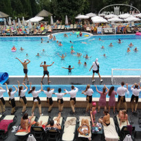 фото из отзыва ID 1816053