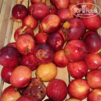 фото из отзыва ID 1816053