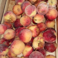 фото из отзыва ID 1816053