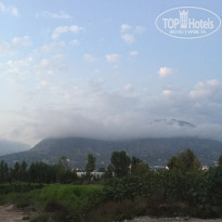 фото из отзыва ID 1816122