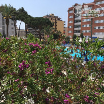 фото из отзыва ID 1816250