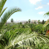 фото из отзыва ID 1816310