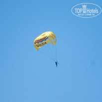 фото из отзыва ID 1816310