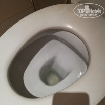 фото из отзыва ID 1816420