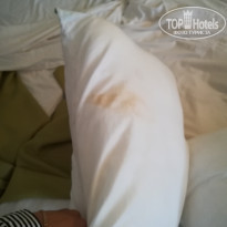 фото из отзыва ID 1816420