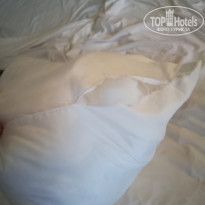 фото из отзыва ID 1816420