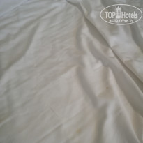 фото из отзыва ID 1816420