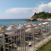 фото из отзыва ID 1816570