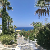 фото из отзыва ID 1816663