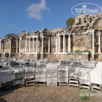 фото из отзыва ID 1816760