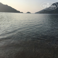 фото из отзыва ID 1816800