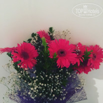 фото из отзыва ID 1816800