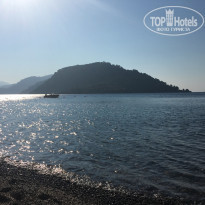 фото из отзыва ID 1816800