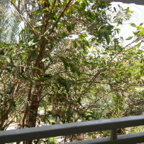 фото из отзыва ID 1813972