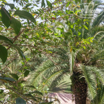 фото из отзыва ID 1813972