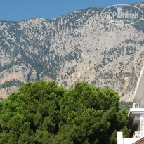 фото из отзыва ID 1816842