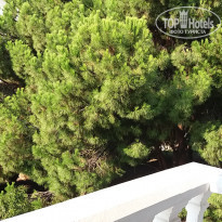 фото из отзыва ID 1816842