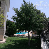 фото из отзыва ID 1816847