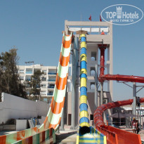 фото из отзыва ID 1816853