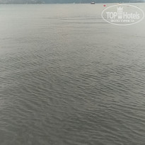 фото из отзыва ID 1816863