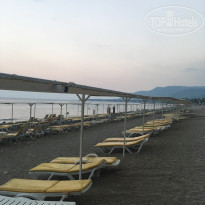 фото из отзыва ID 1816900