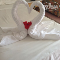 фото из отзыва ID 1816954