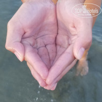 фото из отзыва ID 1817157