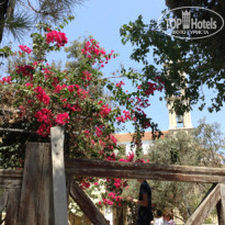 фото из отзыва ID 1817157