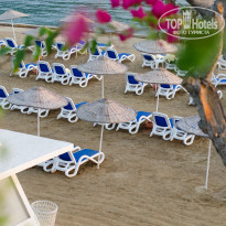 фото из отзыва ID 1817199