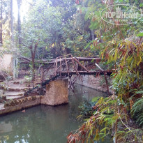 фото из отзыва ID 1817240