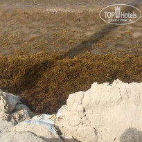 фото из отзыва ID 1817576