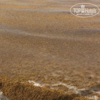 фото из отзыва ID 1817576