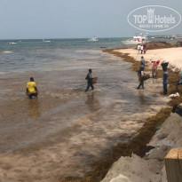 фото из отзыва ID 1817576