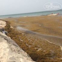 фото из отзыва ID 1817576