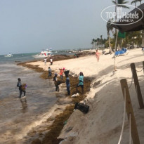 фото из отзыва ID 1817576