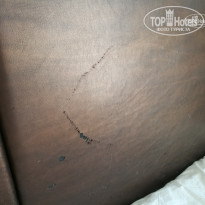 фото из отзыва ID 1817611