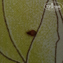 фото из отзыва ID 1817801