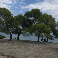 фото из отзыва ID 1817846